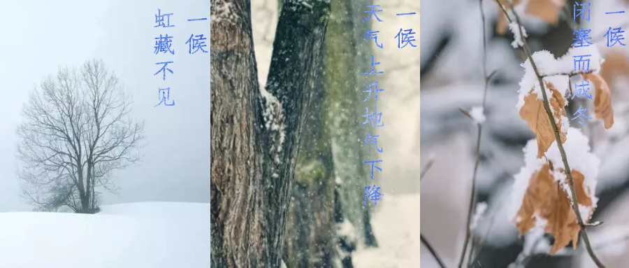 今日小雪，寒潮來(lái)襲，洗瓶機(jī)來(lái)幫你解放雙手吧！
